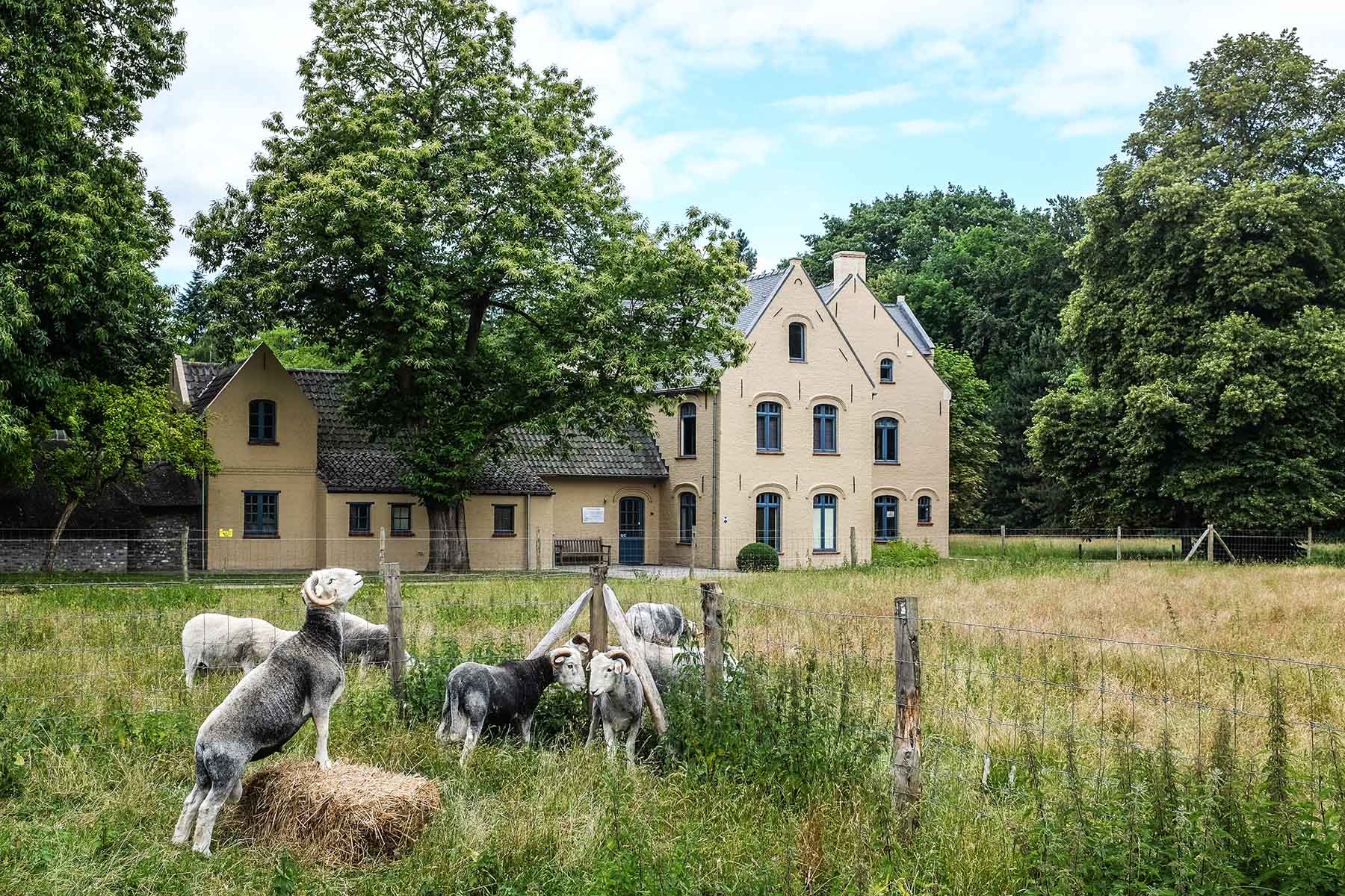 Museum Gevaert-Minne exterieur