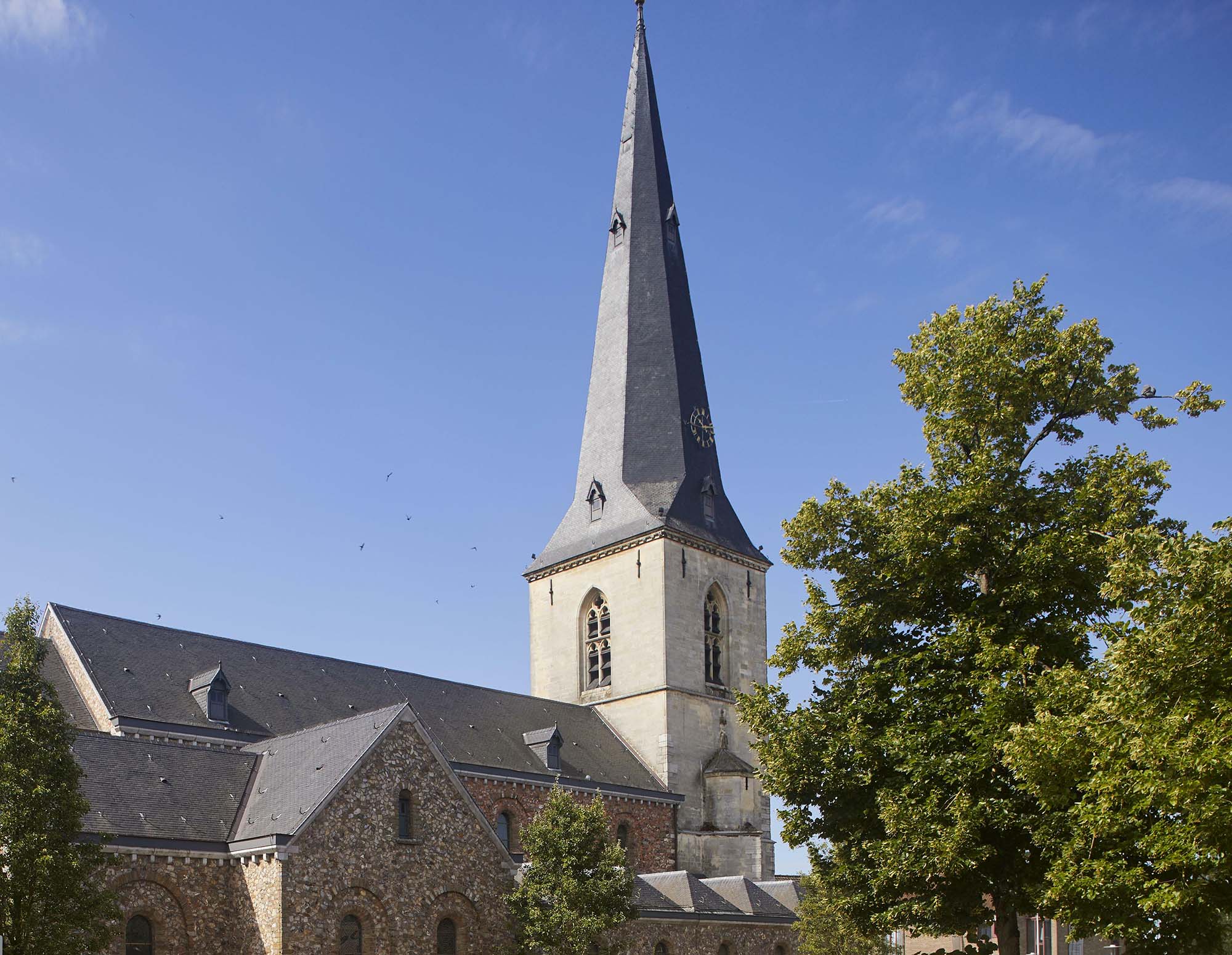 Sint Odulphuskerk van Borgloon