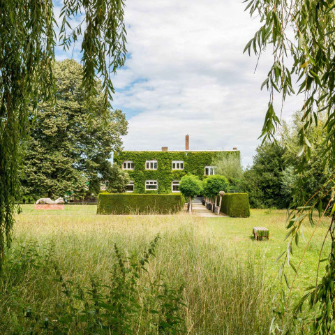 A quaint house covered in ivy is set amidst lush greenery and framed by drooping willow branches, creating a serene and picturesque countryside scene.
