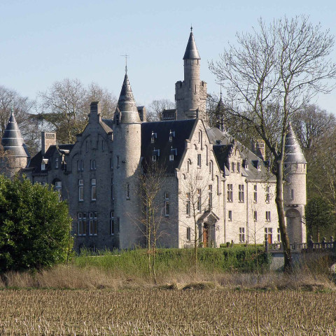 A medieval-style castle with tall turrets and gray stone walls stands amid bare trees and greenery, exuding a serene, historic ambiance under a clear blue sky.